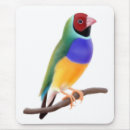 Search for sparrows mousepads Finches