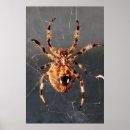 Search for weaver posters Spider