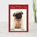 Search for pug mothers day cards Dogs