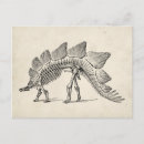 Search for dinosaur fossil postcards Skeleton