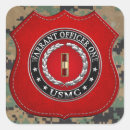 Search for wos stickers Usmc wo1 3d