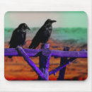 Search for raven mousepads Bird