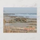 Search for nova scotia postcards Vacation