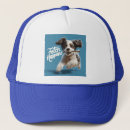 Search for puppy hats Dog