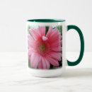 Search for gerbra Daisies