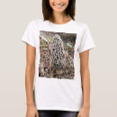 Search for mycelium clothing Foraging