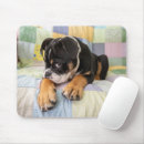 Search for looking old mousepads Front view
