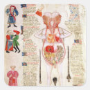 Search for anatomical stickers Surgeon
