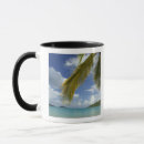 Search for virgins mugs Bay