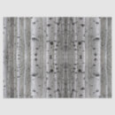 Search for birch trees tissue paper Winter