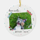 Search for santa cat christmas tree decorations Puppy
