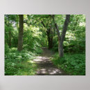 Search for timbers posters Forest