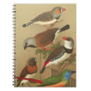 Search for birds notebooks Vintage