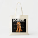 Search for anatomy bags Funny