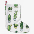 Search for succulent christmas stockings Blossom