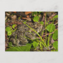 Search for edmonton alberta postcards Close up