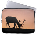 Search for elks electronics Antlers