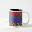 Search for hyacinth flower mugs Pink