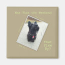 Search for cms mugs Cute