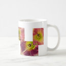 Search for daylilies mugs Daylily