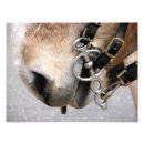 Search for draught art Photography