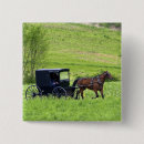 Search for buggy badges Horse
