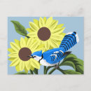 Search for blue jay bird postcards Garden