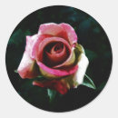 Search for oil painting stickers Flowers