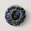Search for anemone badges Flower