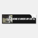 Search for my family bumper stickers Cute