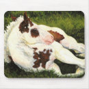 Search for paint horses mousepads Equine