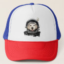 Search for astronauts hats Universe