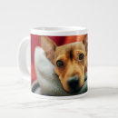 Search for miniature pinscher mugs Puppy