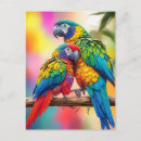 Search for macaw parrot postcards Tropical