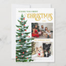 Search for december photo cards Merry and bright