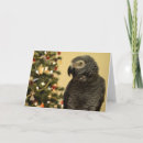 Search for african grey parrot christmas cards Bird