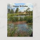 Search for frog postcards Amphibian