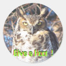 Search for hoot stickers Nature