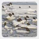 Search for homer stickers Bald eagle