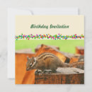 Search for photography birthday invitations Nature