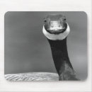 Search for goose mousepads Animal