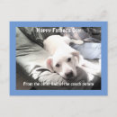 Search for funny dog picture postcards Adorable