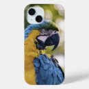 Search for parrot iphone cases Macaw