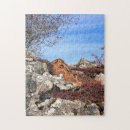 Search for hare puzzles Animals