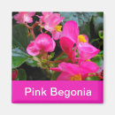 Search for begonia magnets Pretty