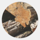 Search for logging stickers Wood