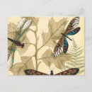 Search for dragonfly drawing postcards Nature