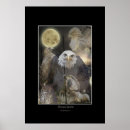 Search for raptors posters Hawks