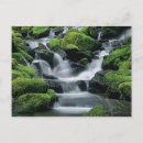Search for streams postcards Forest
