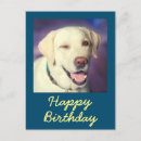 Search for designer dog cards For her